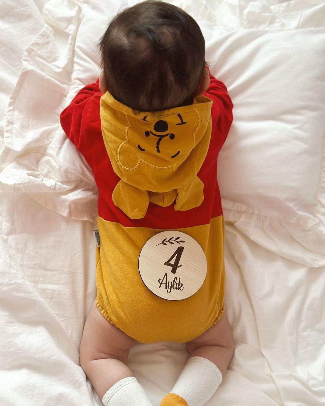 Pooh Baskılı Kapüşonlu Unisex Zıbınlı Sweat