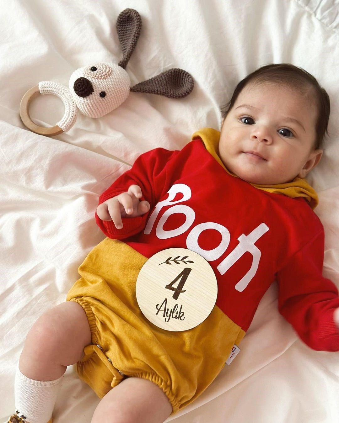 Pooh Baskılı Kapüşonlu Unisex Zıbınlı Sweat