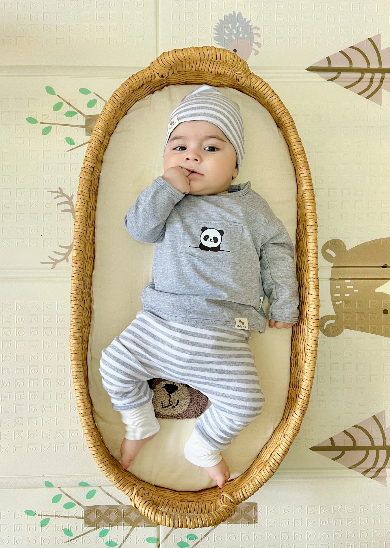 Teddy Baskılı Çizgili Desenli Şapkalı %100 Pamuk 3’lü Cool Takım