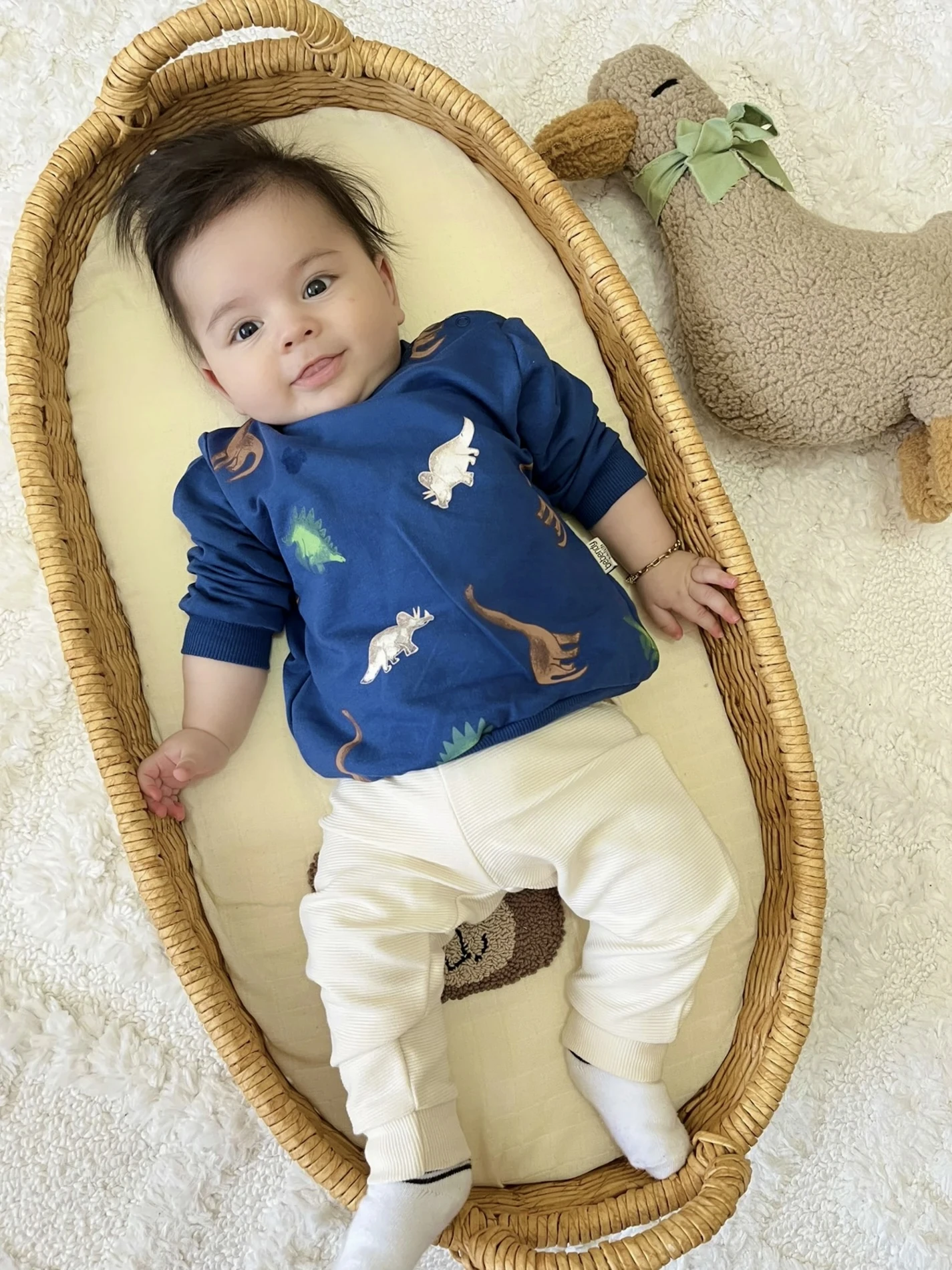 Dino %100 Pamuk Premium Kalite 2’li Takım