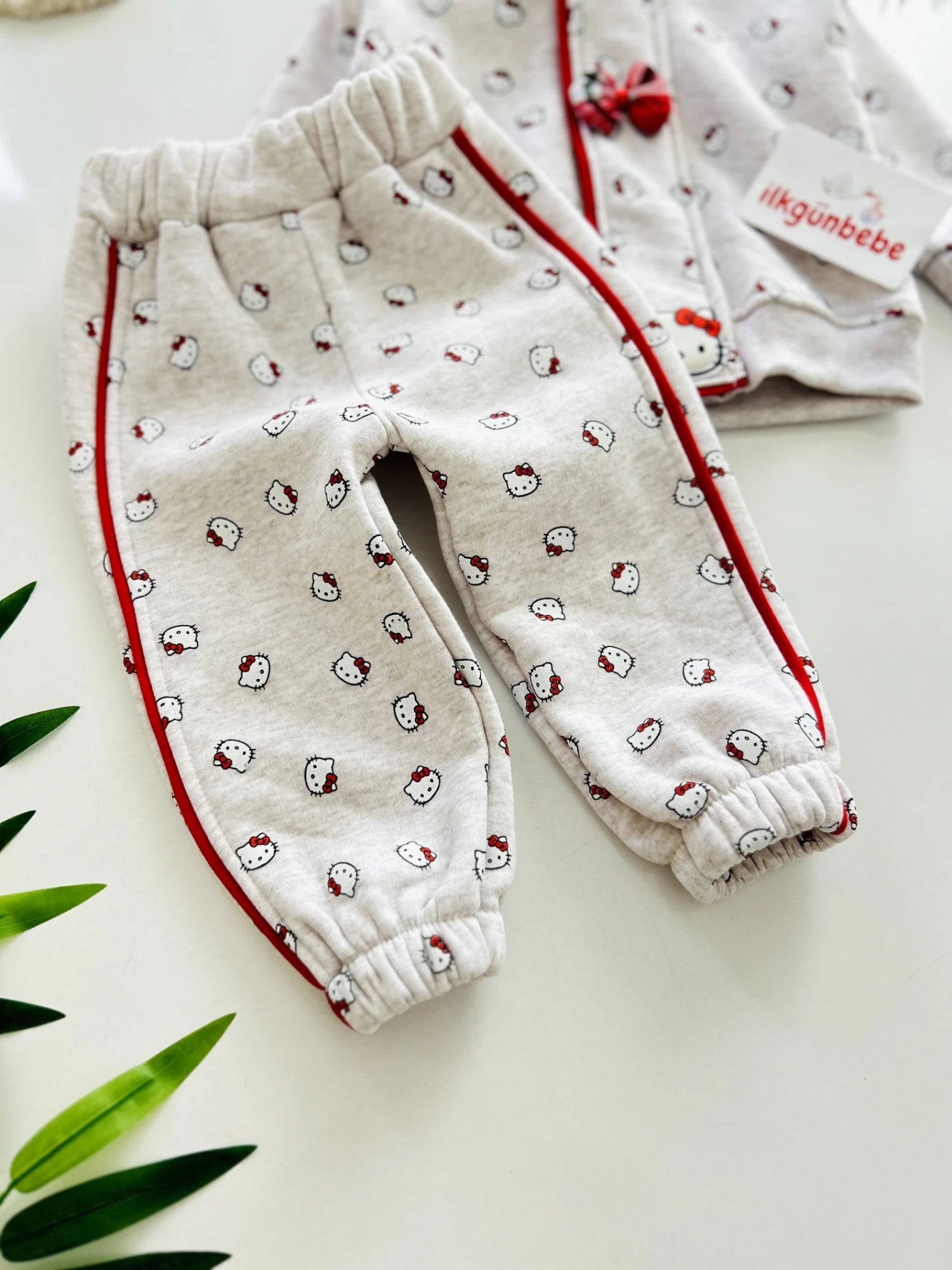 Hello Kitty Fermuar Detaylı  Baskılı 2’li 3 İp Şardonlu Kışlık Takım