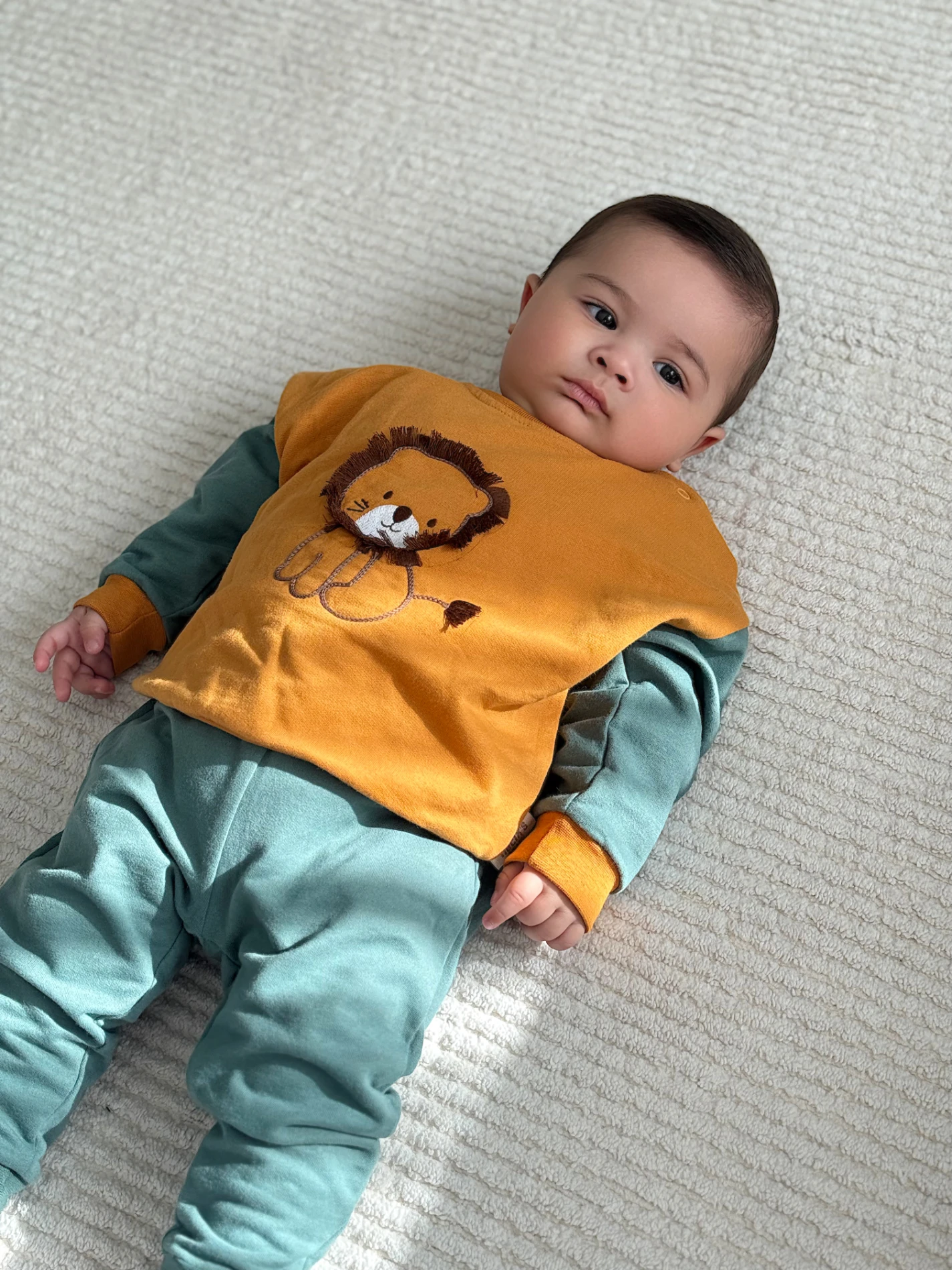 Aslan Temalı %100 Pamuk 2’li Takım 