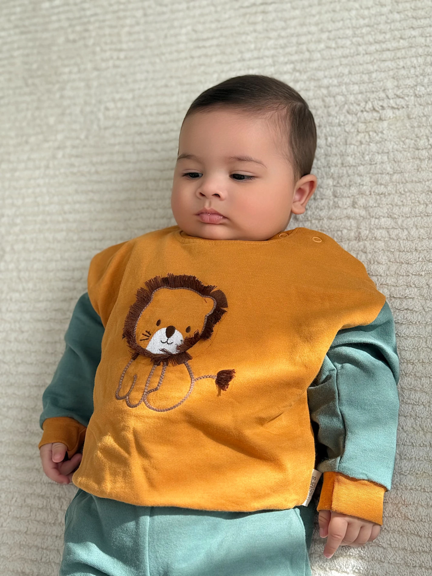 Aslan Temalı %100 Pamuk 2’li Takım 