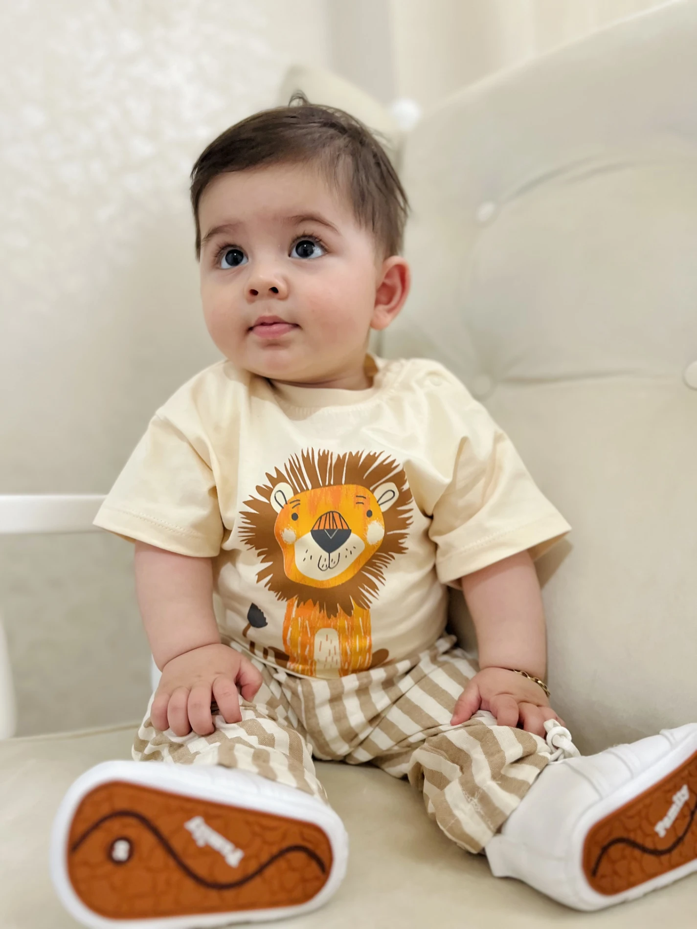 Aslan Figürlü Çizgili Müslin Kumaş 2’li Takım