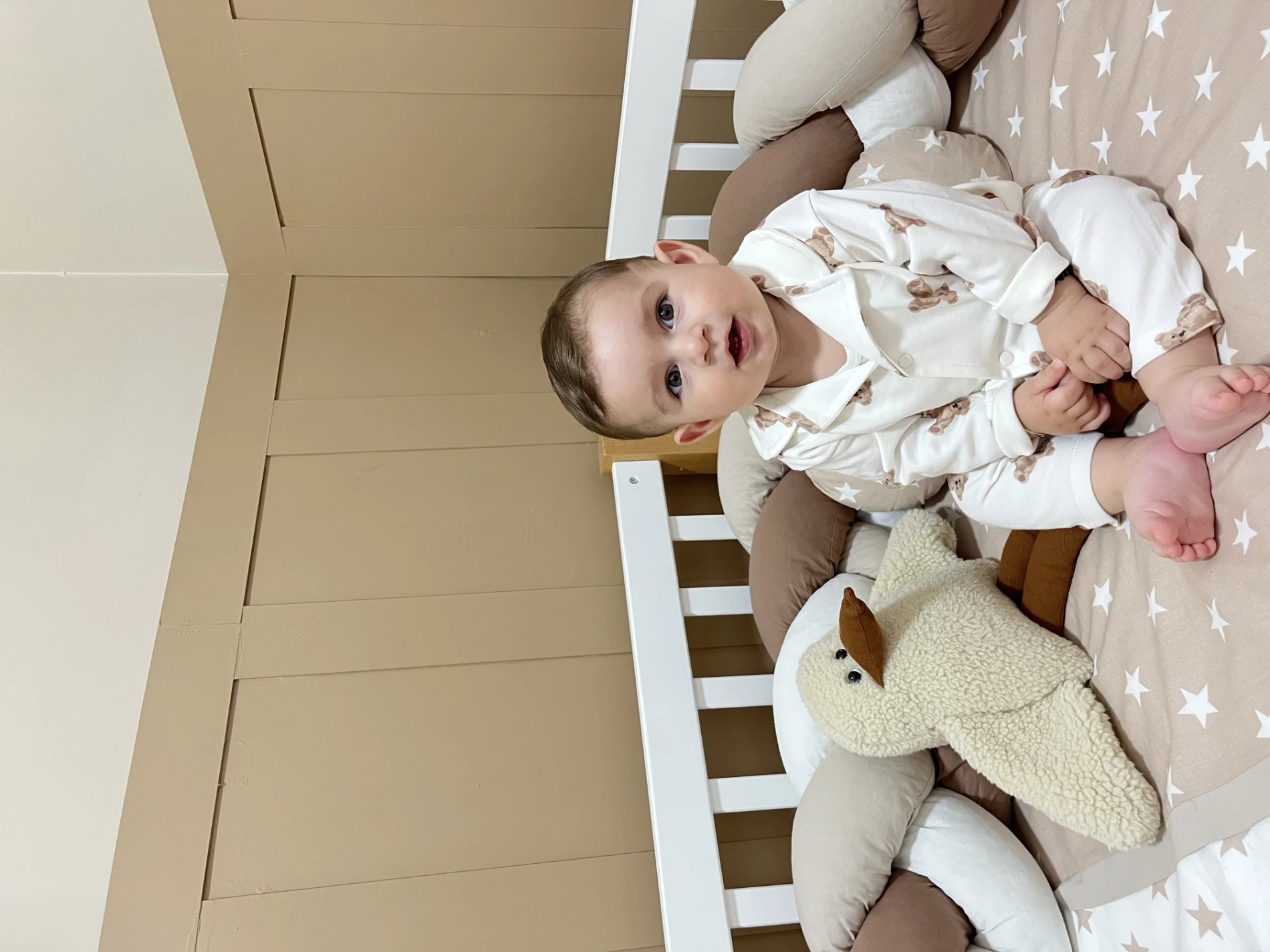 Teddy Ayıcık Pinterest Bebe Yakalı %100 Pamuk 2’li Takım