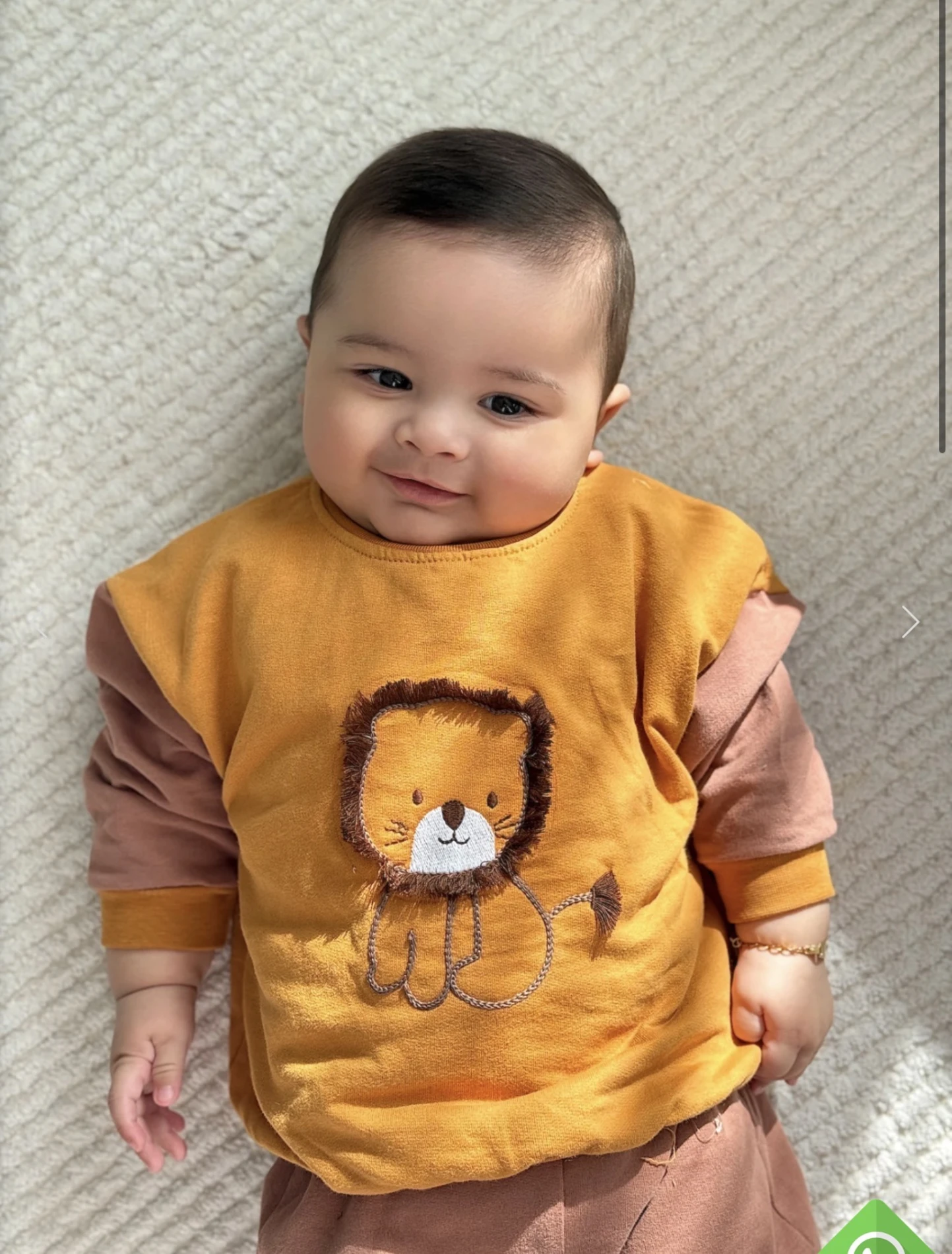 Aslan Temalı %100 Pamuk 2’li Takım 
