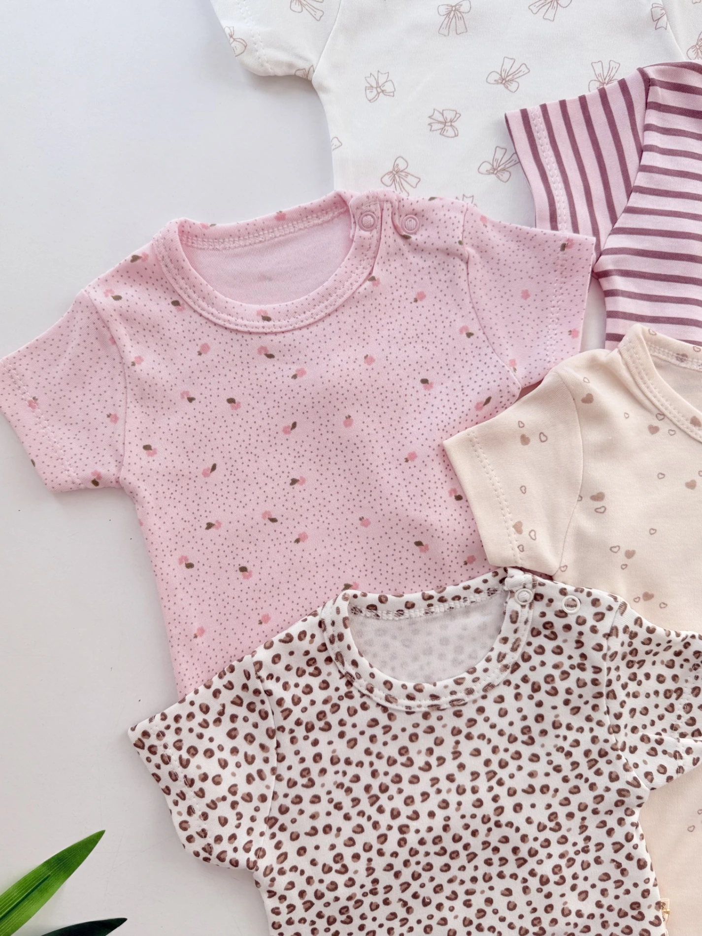 Rengarenk Desenli 5’li Body Set