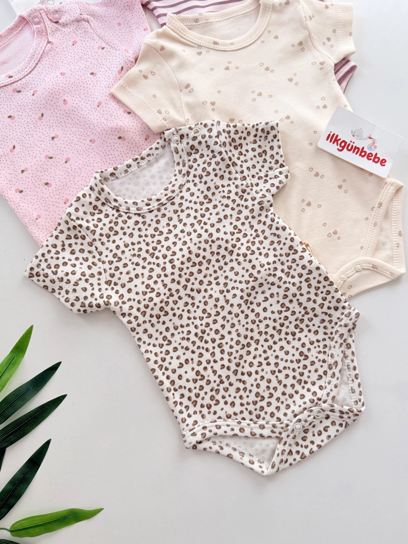 Rengarenk Desenli 5’li Body Set