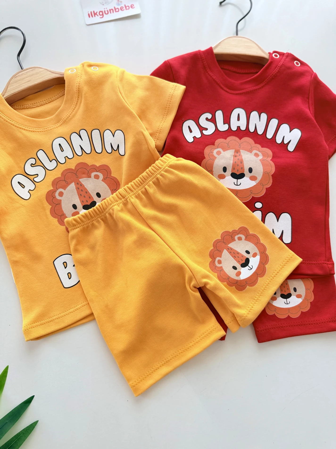 Aslanım Benim Yazlık Takım