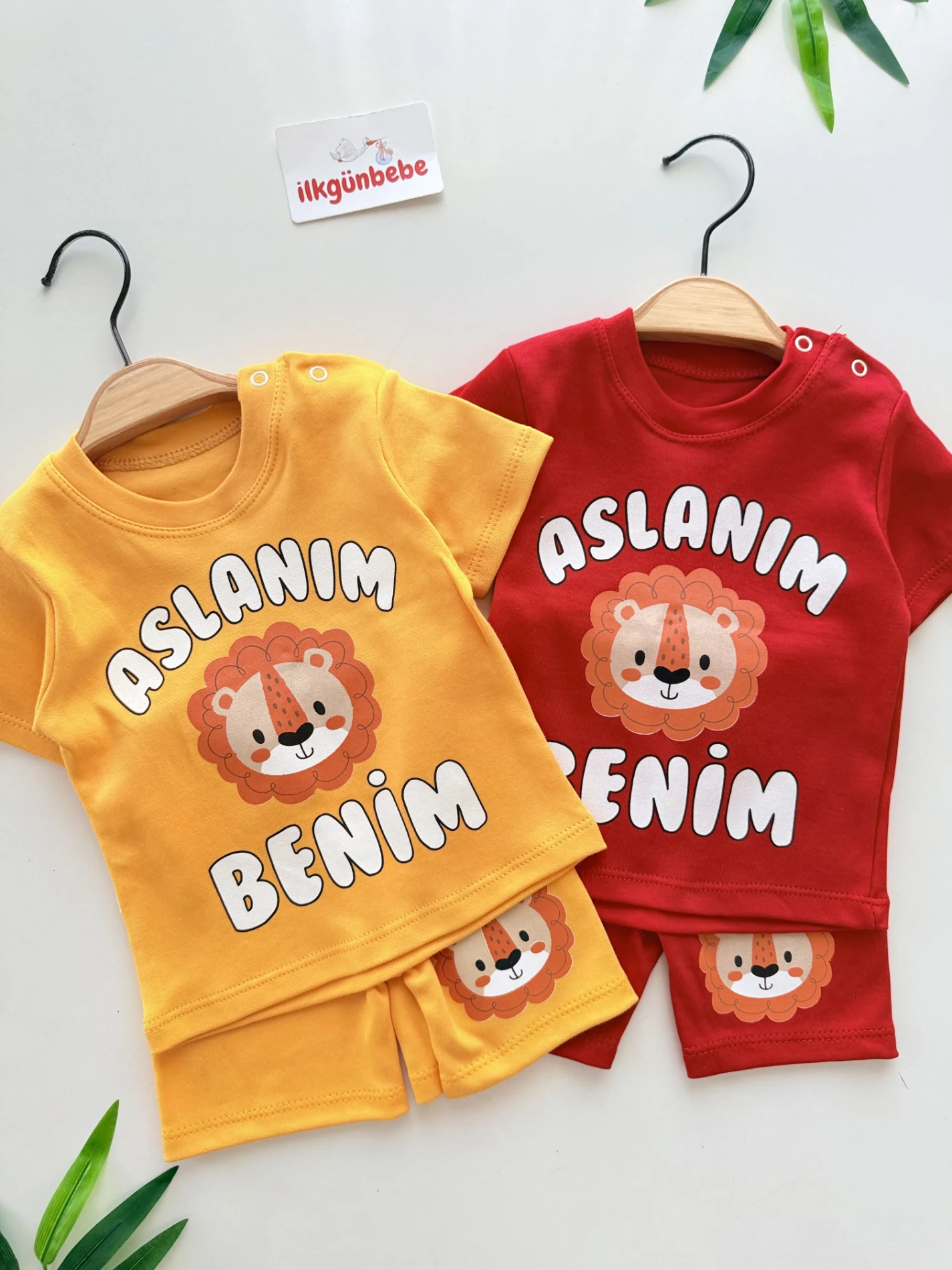Aslanım Benim Yazlık Takım